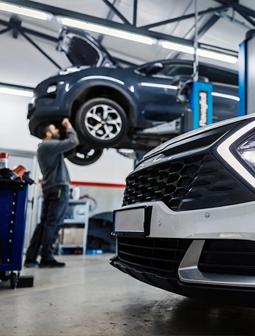 メインビジュアル2枚目画像